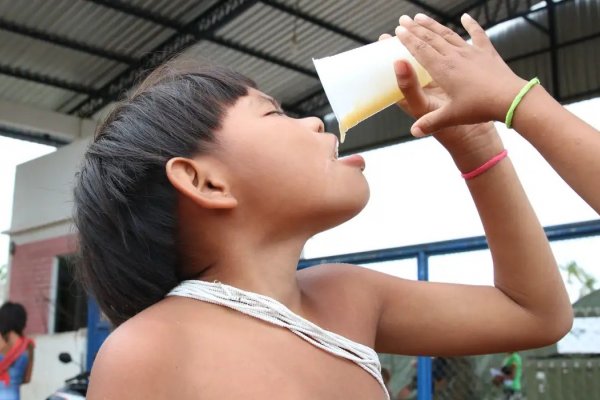 [Consumo de alimentos ultraprocessados cresce entre povos tradicionais]