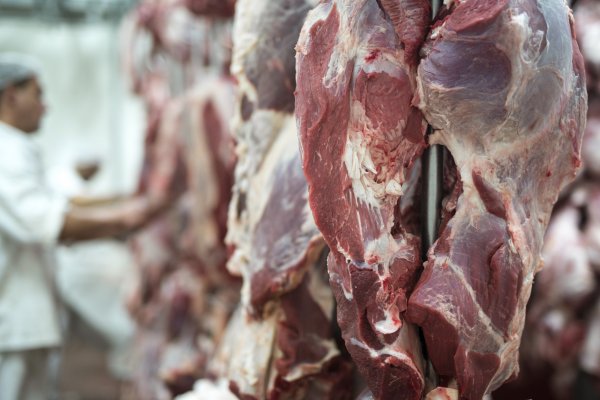 [União Europeia barra exportações de carne bovina do Brasil a partir de setembro]