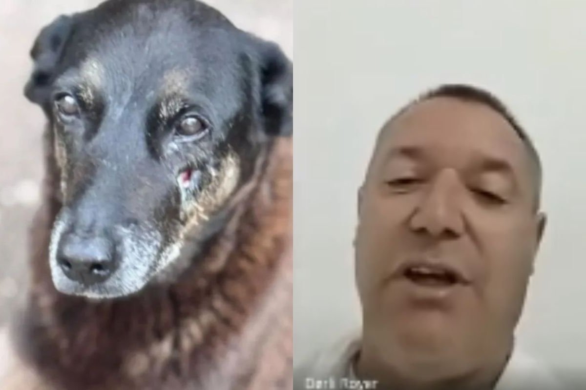 Vídeo: Depoimento de veterinário que atendeu cão Orelha vaza nas redes sociais após MP arquivar o caso 