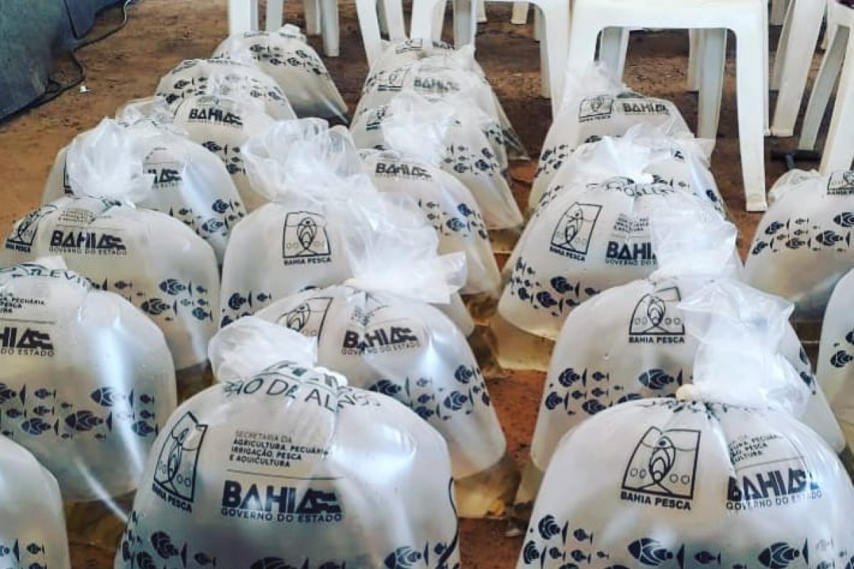 Produtores de Mata de São João recebem capacitação e peixes