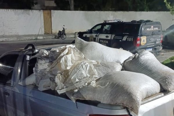 [Polícia recupera carga de café furtada avaliada em R$ 50 mil na Bahia]