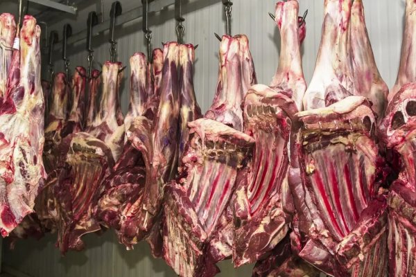 [China suspende exportações de carne de três frigoríficos brasileiros]