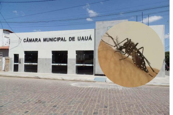 [Prefeitura de Uauá cancela São João por conta de epidemia de dengue]