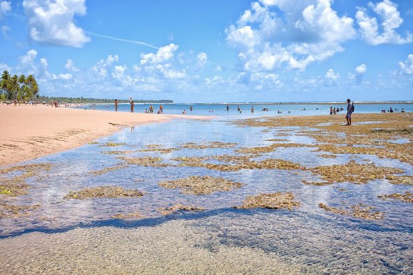 [Duas praias baianas aparecem na lista dos 100 melhores destinos costeiros do mundo]
