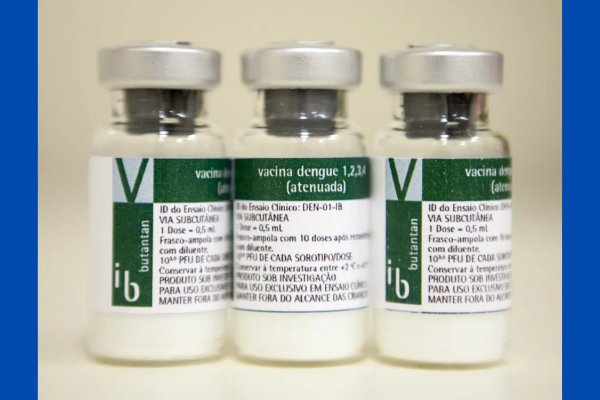 [Ministério da Saúde divulga orientações após suspensão da vacina da dengue do Buntantan]