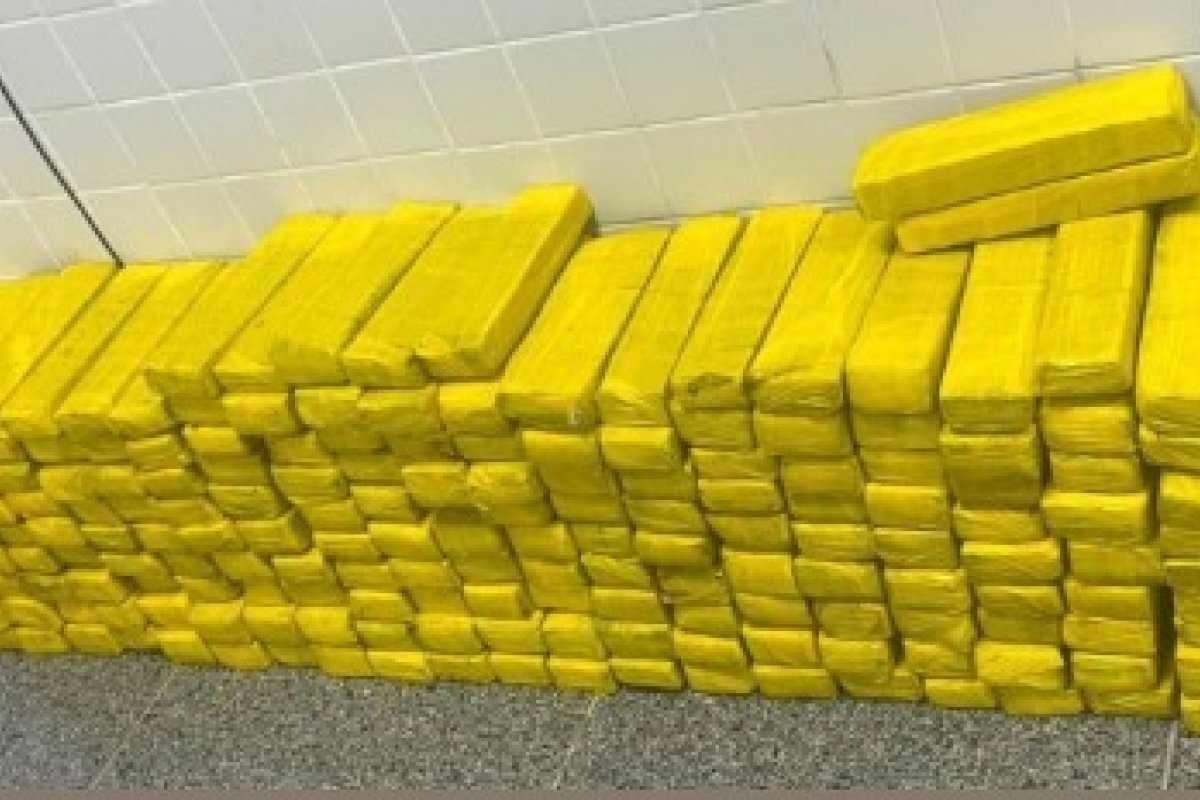 Quase 190 tabletes de maconha são apreendidos escondidos em freezer em Feira de Santana