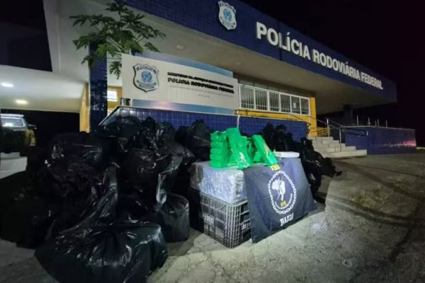 [PRF apreende mais de 1,6 tonelada de drogas em caixas de frutas dentro de caminhão na BR-116]