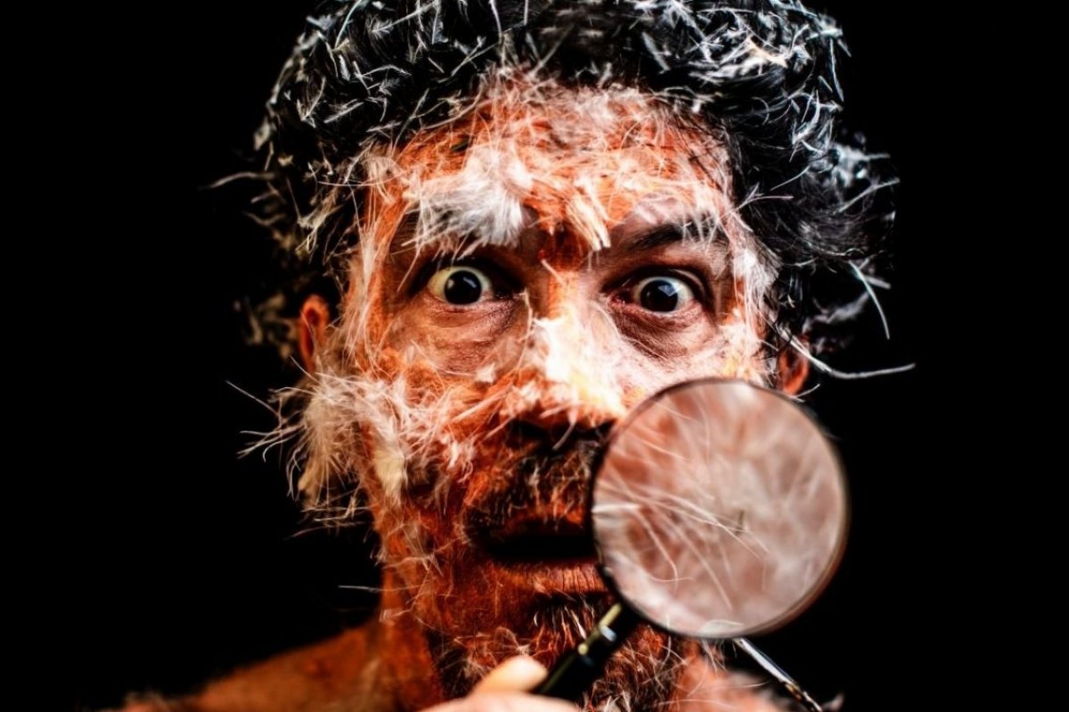 Siba, Afrocidade, Lívia Nery e outras atrações participam da 7ª edição do Zona Mundi