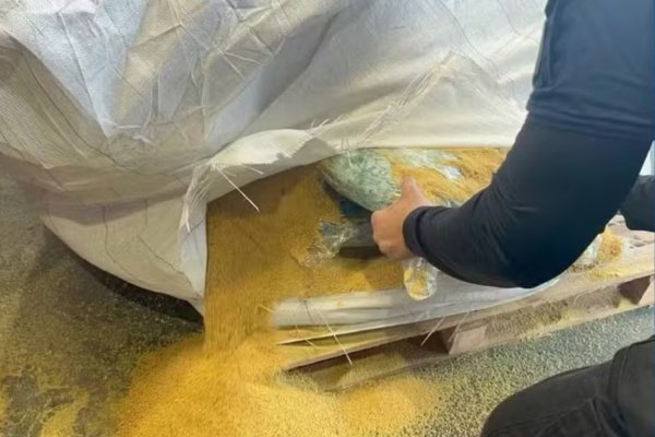 Vídeo: Receita Federal apreende 200 kg de cocaína em carga de soja no Porto de Salvador