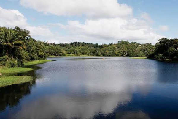 [MPF pede indenização de R$ 3,9 milhões por condomínio construído em área de preservação em Lauro de Freitas]