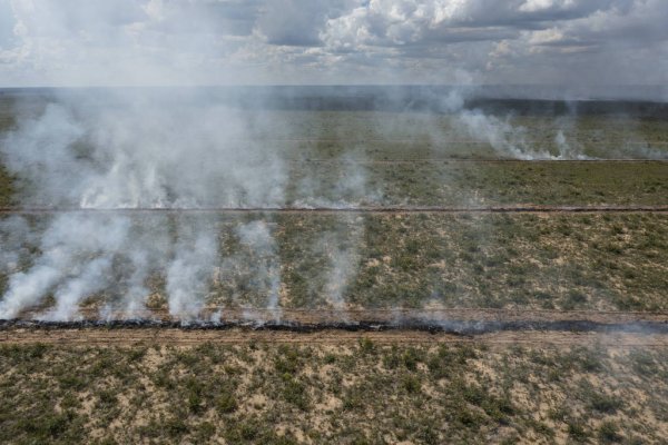 [Área queimada no Brasil cai 58% em 2025, um ano após incêndios históricos]
