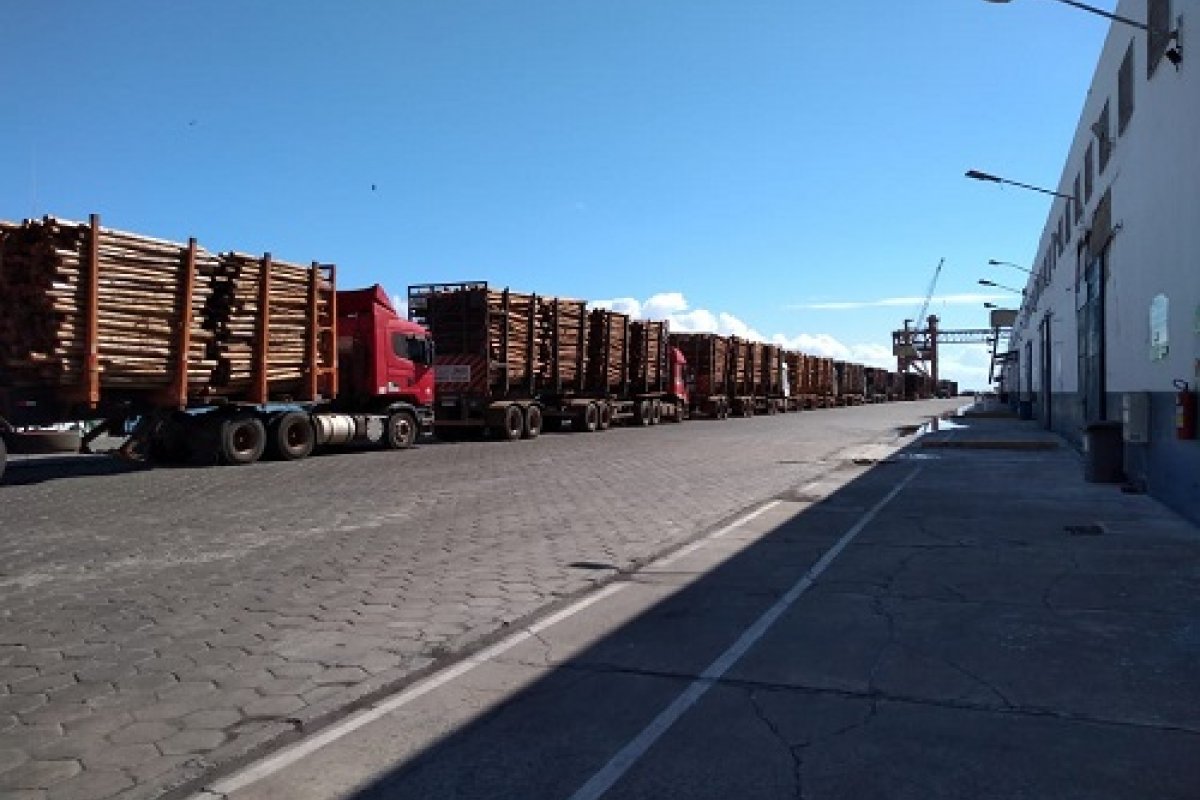 Porto de Ilhéus retoma exportação de manganês e eucalipto a partir do mês que vem