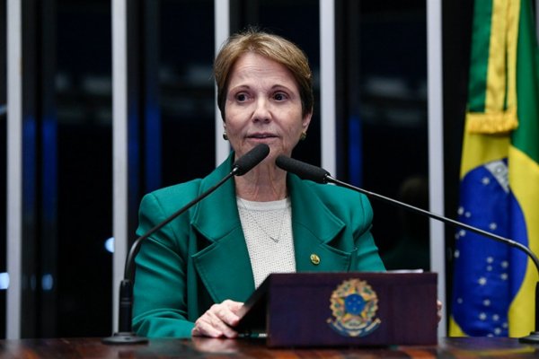 [Tereza Cristina aceita convite para ser vice de Flávio, mas aliança depende de aval partidário]
