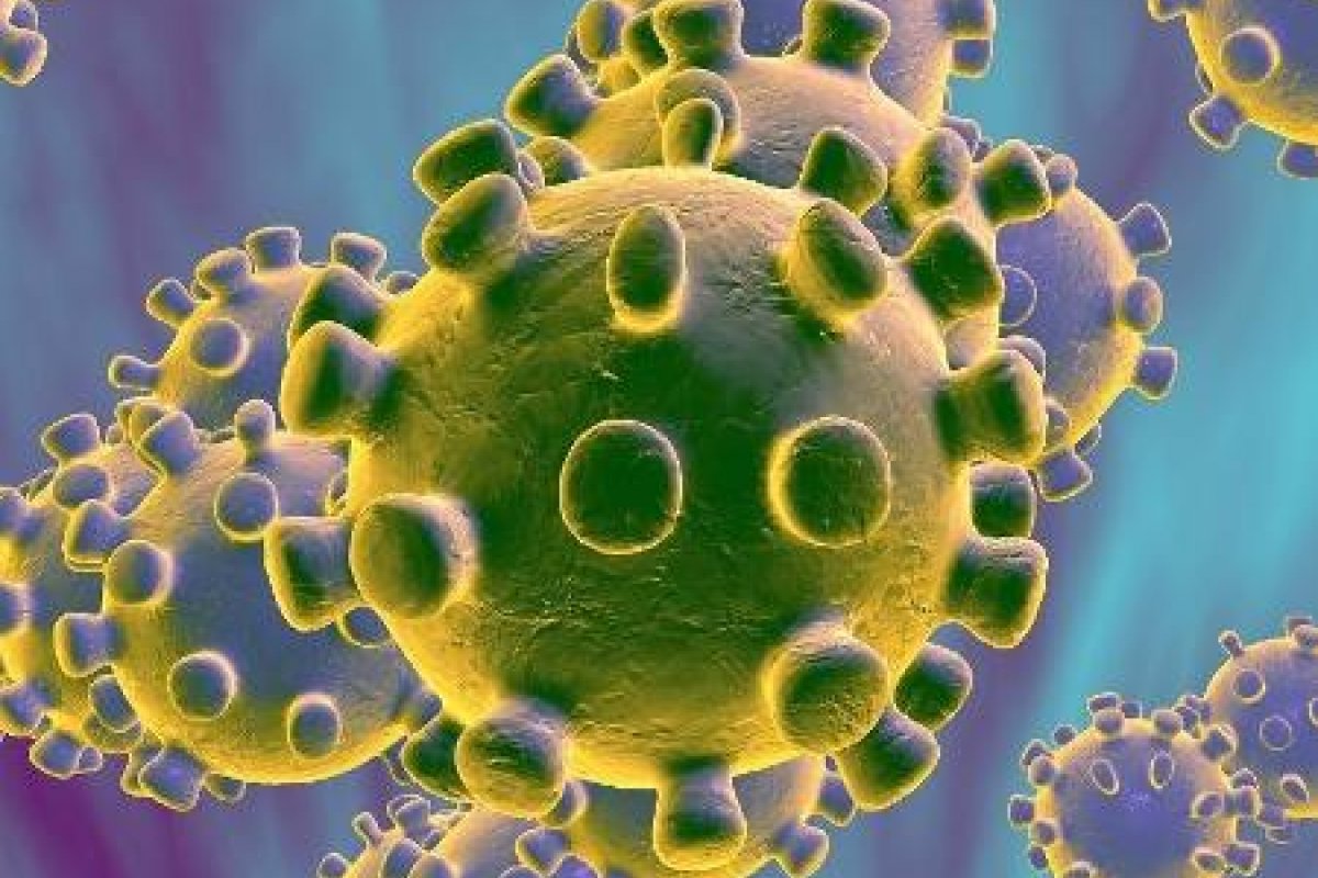 Cientistas do zika veem 'diferença total' entre crise de 2015 e covid-19