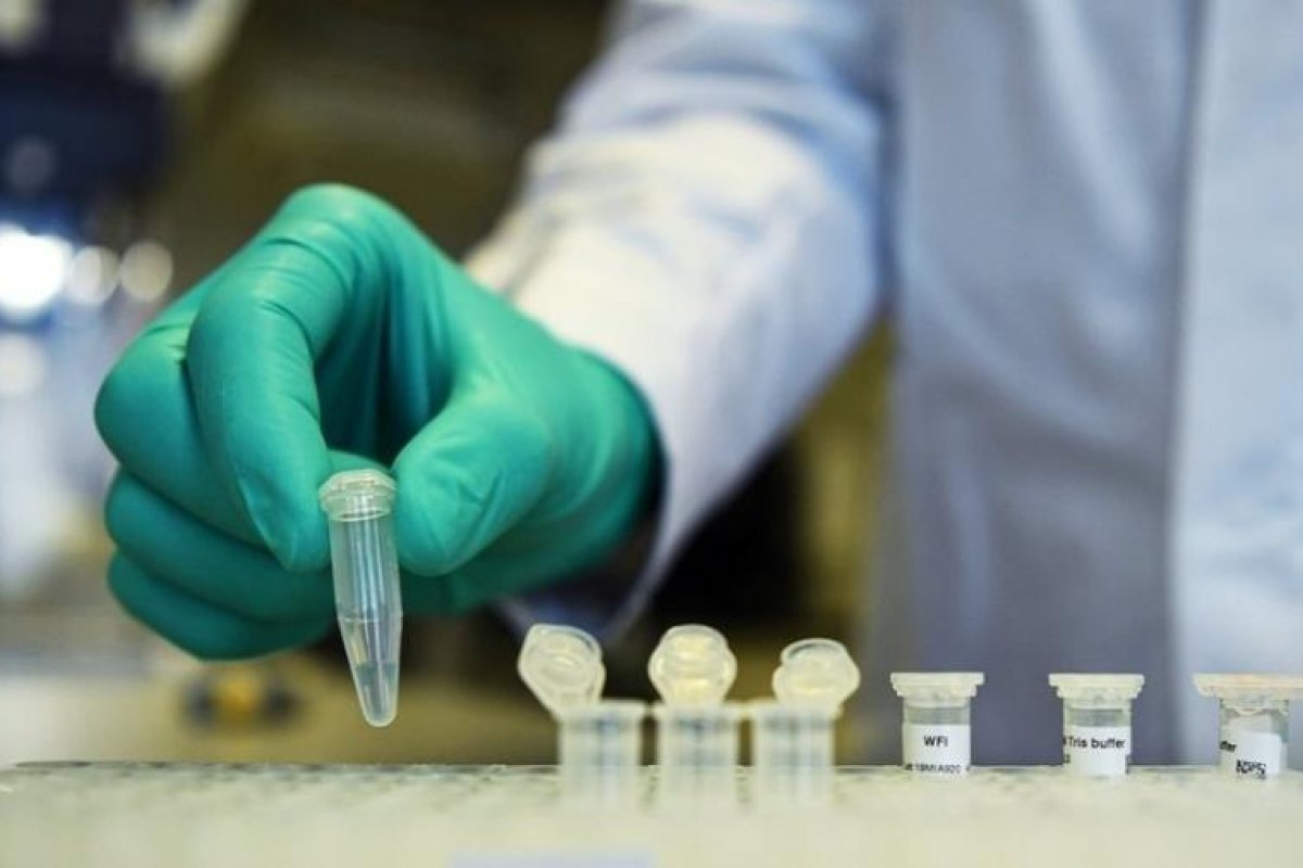 Coronavírus: cientistas descobrem como o corpo combate a covid-19