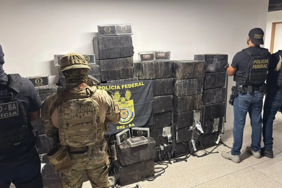 Operação apreende cerca de 1 tonelada de cocaína no Porto de Salvador e prende nove suspeitos