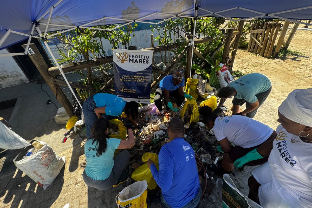 Ação do Projeto Mares retira mais de 40 kg de lixo em manguezal na Ilha de Itaparica!