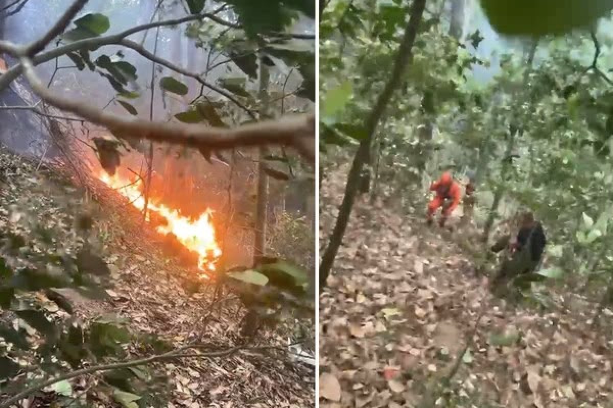 Queda de helicóptero deixa quatro mortos na região da Vista Chinesa, no Rio