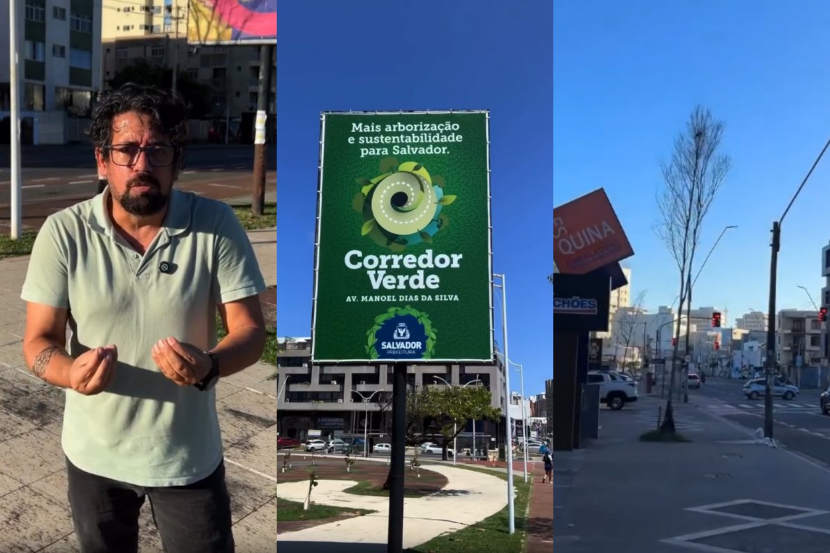 Vídeo: "Corredor de árvores secas", consultor denuncia abandono de árvores plantadas pela prefeitura na Pituba