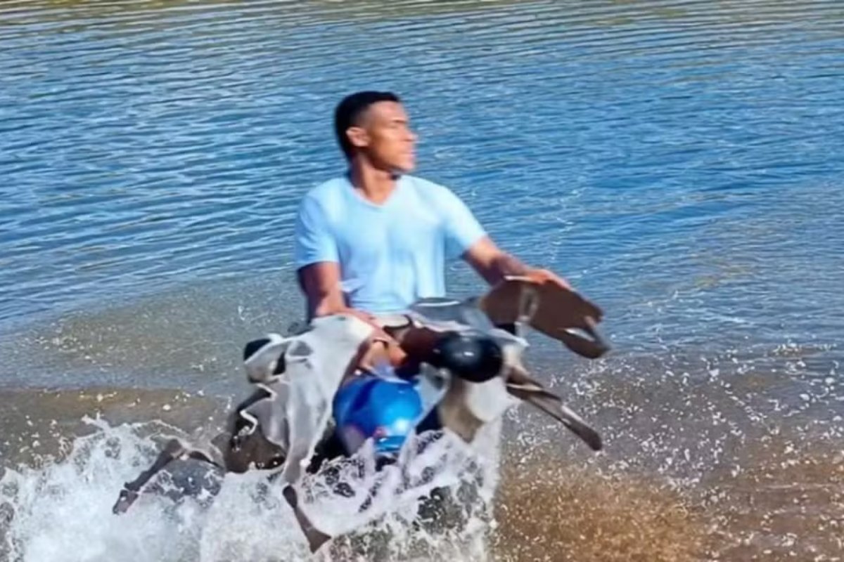 Vídeo: homem é investigado por suspeita de maus-tratos contra cachorro em Conceição do Coité