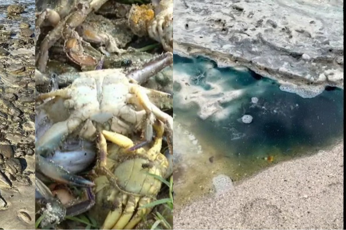 Prefeitura decide prorrogar por mais 90 dias situação de emergência na praia de São Tomé 
