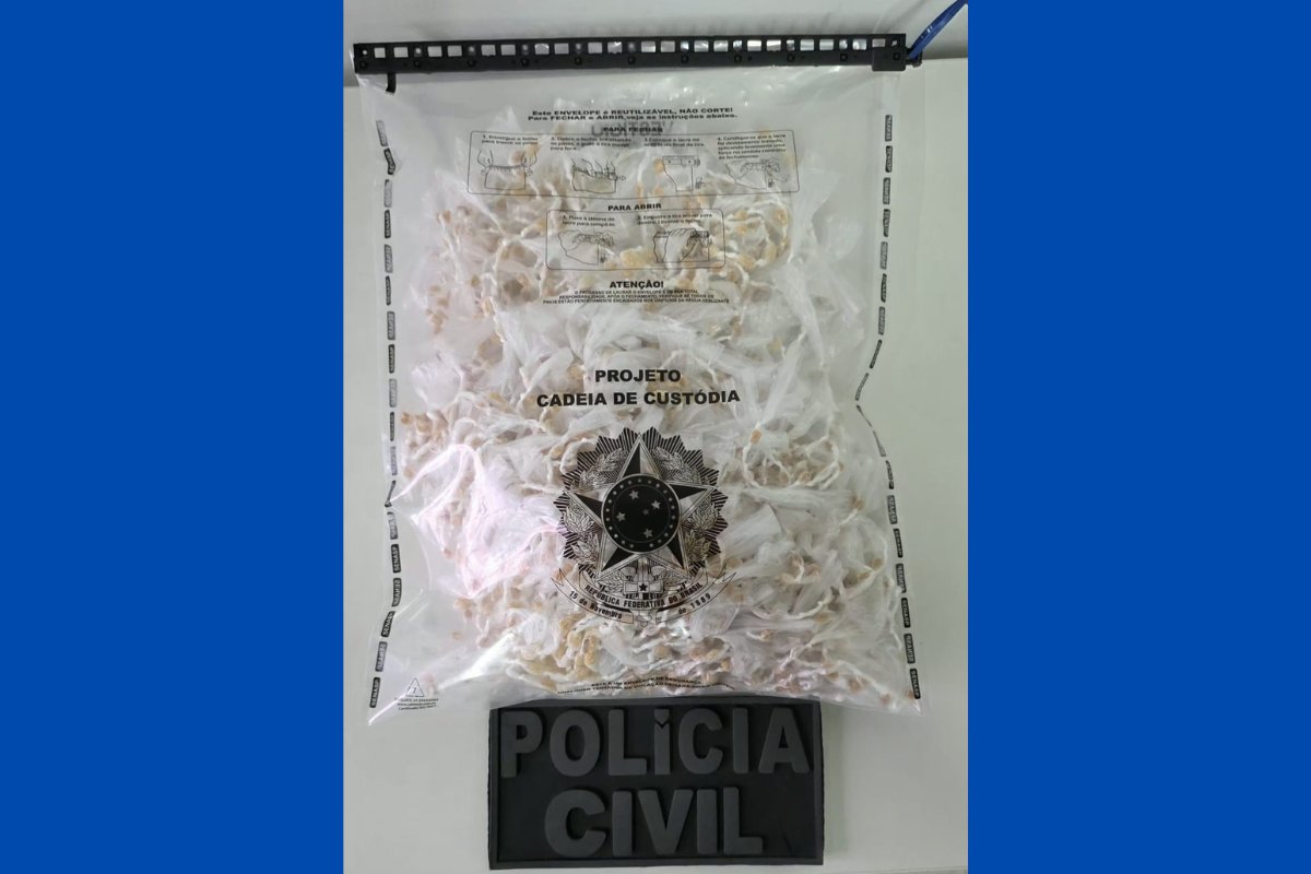 Mais de 2 mil pedras de crack são apreendidas em operação policial na Bahia