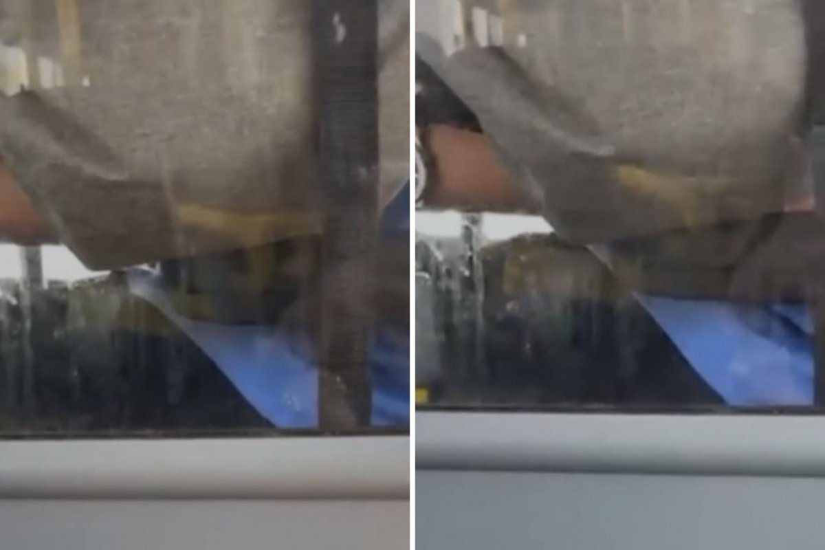 Vídeo: Cobrador de ônibus é flagrado se masturbando perto de adolescente; passageira gravou a cena 