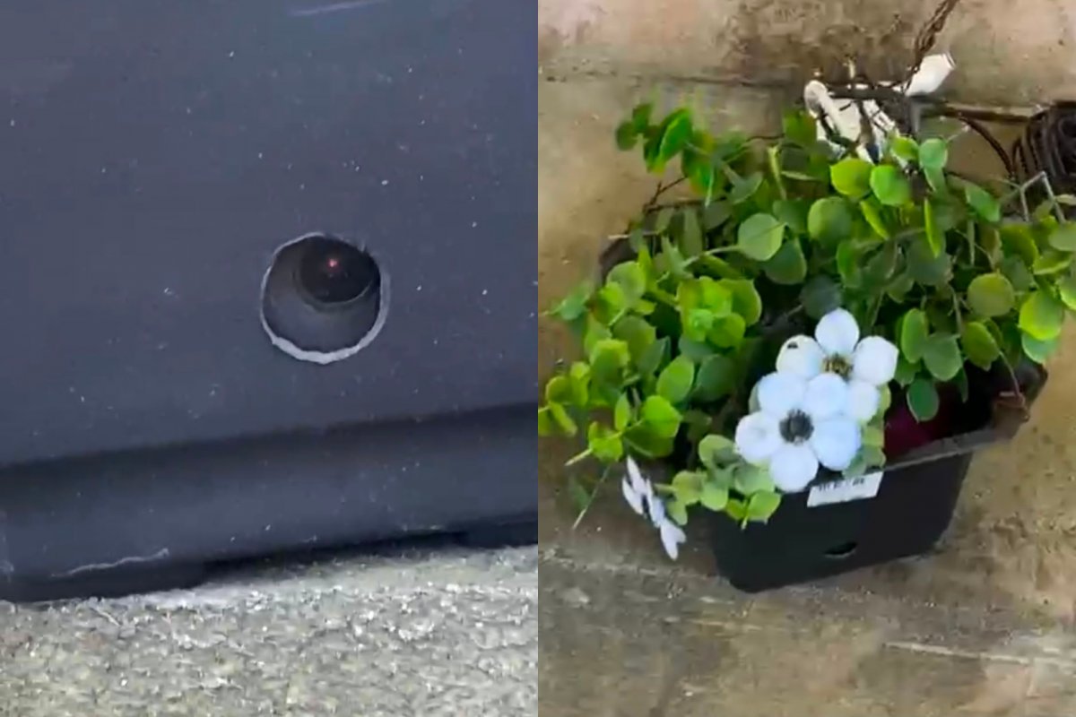 Polícia apreende câmeras ilegais escondidas em vasos de plantas na Avenida Suburbana