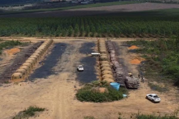 [Mais de 200 hectares de desmatamento ilegal são identificados pelo MP-BA ]
