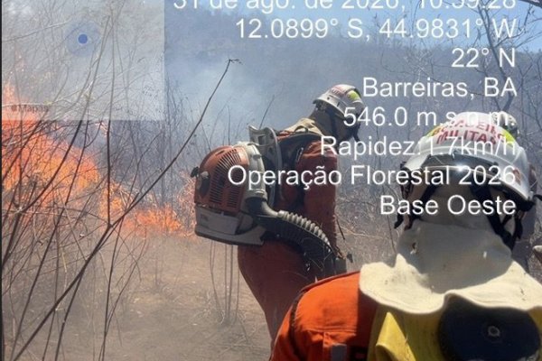 [Corpo de Bombeiros é acionado para conter incêndio florestal em Barreiras]