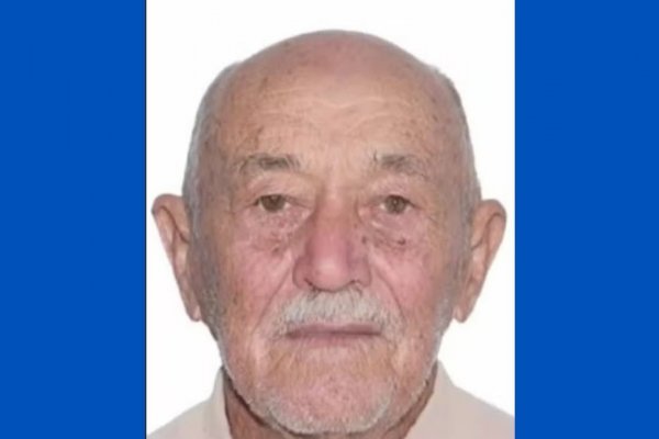 [Idoso de 86 anos morre após sofrer ataque de abelhas na Bahia]