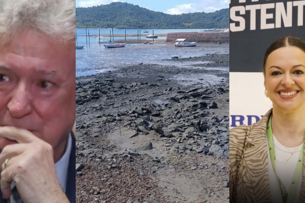 [Denúncias colocam em xeque Isabela Suarez e luta pelo meio ambiente]