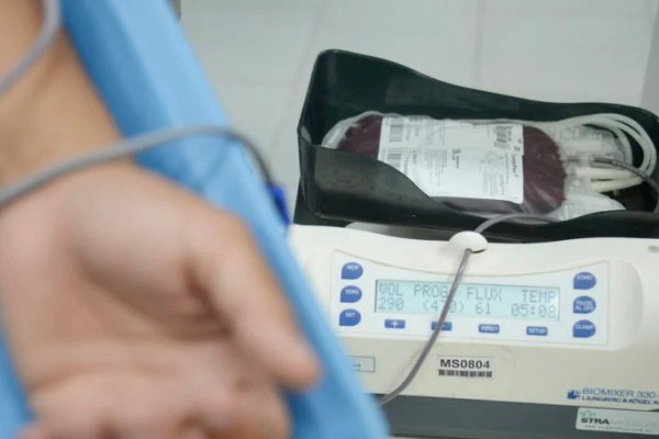 [Testemunhas de Jeová passam a permitir que fiéis doam e recebam componentes da doação de sangue ]