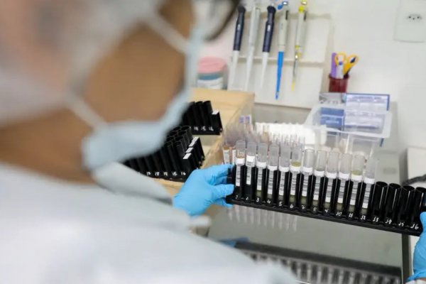 [Anvisa autoriza testes em humanos da primeira vacina brasileira contra malária]