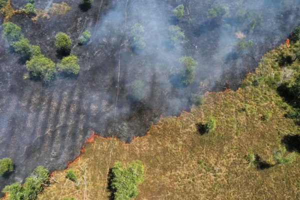 [Amazônia atinge menor nível de desmatamento da série história em 2025, aponta MapBiomas ]
