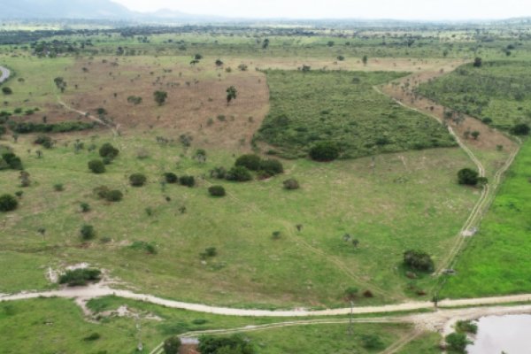 [MP-BA abre inquérito contra fazenda do grupo André Guimarães por suspeita de dano ambiental ]