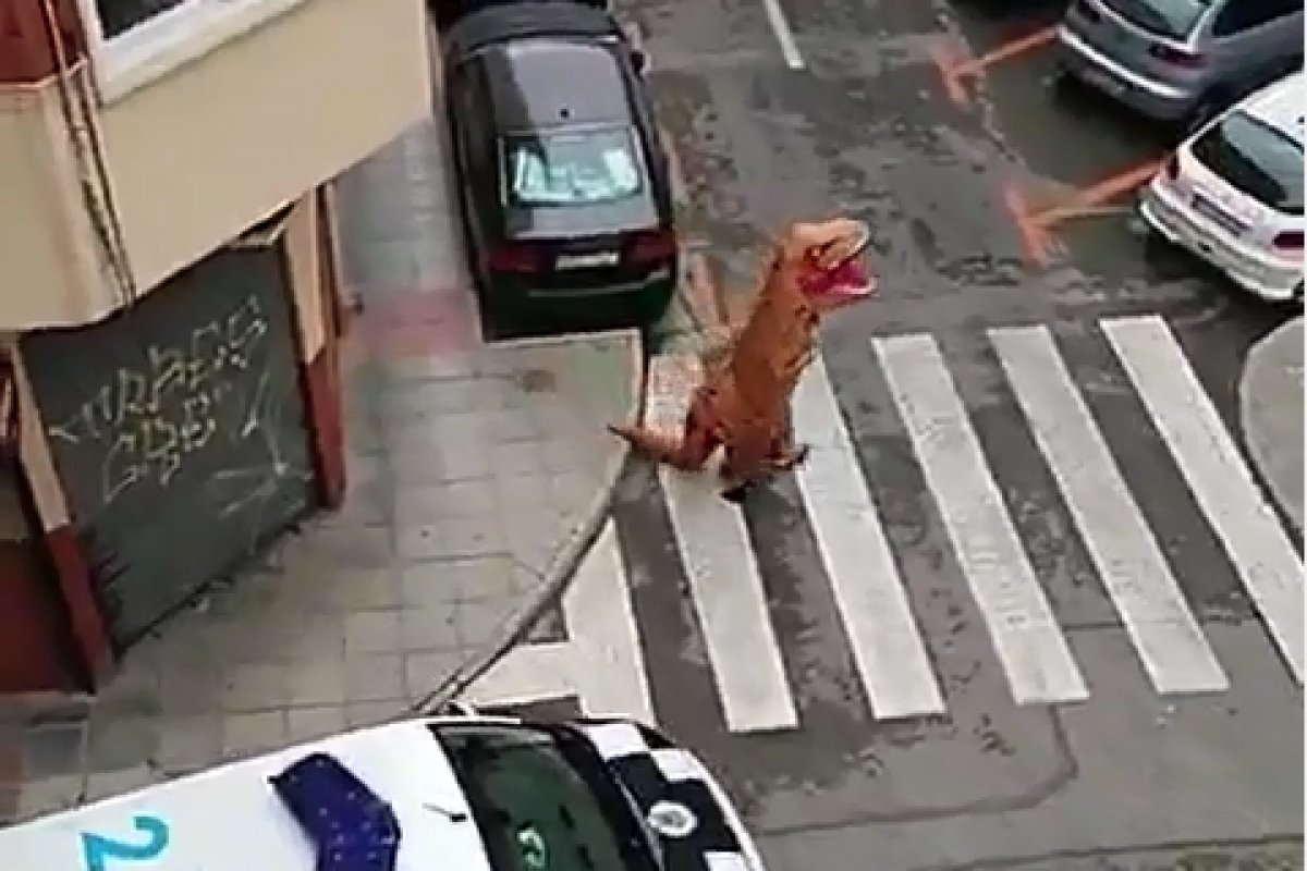 Homem se veste de dinossauro para sair de casa na Espanha