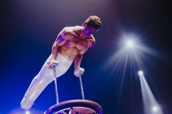 [Artistas do Circo Portugal investem em preparação física para garantir espetáculo e segurança! ]