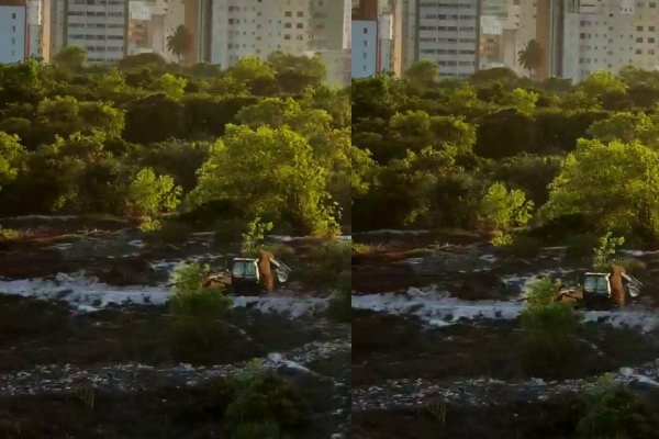 [Vídeo: Trator é flagrado em área de preservação ambiental no antigo Centro de Convenções de Salvador]