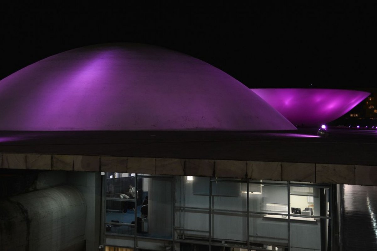 Purple Day: Dia Mundial da Conscientização da Epilepsia é comemorado nesta quinta (26)