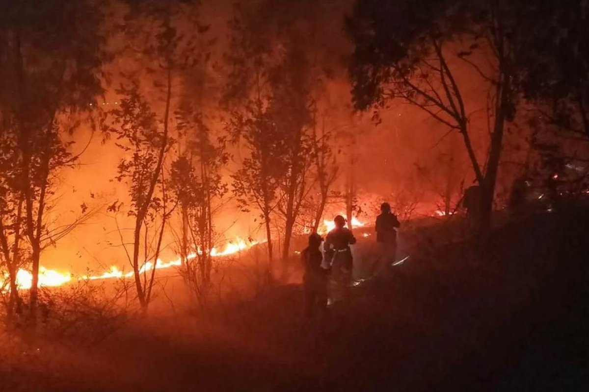 Incêndio florestal deixa 19 mortos no sudoeste da China