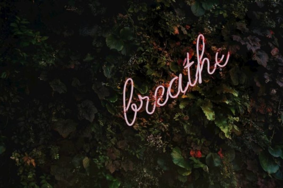 Confira seis aplicativos para cuidar da saúde mental e física em meio ao isolamento