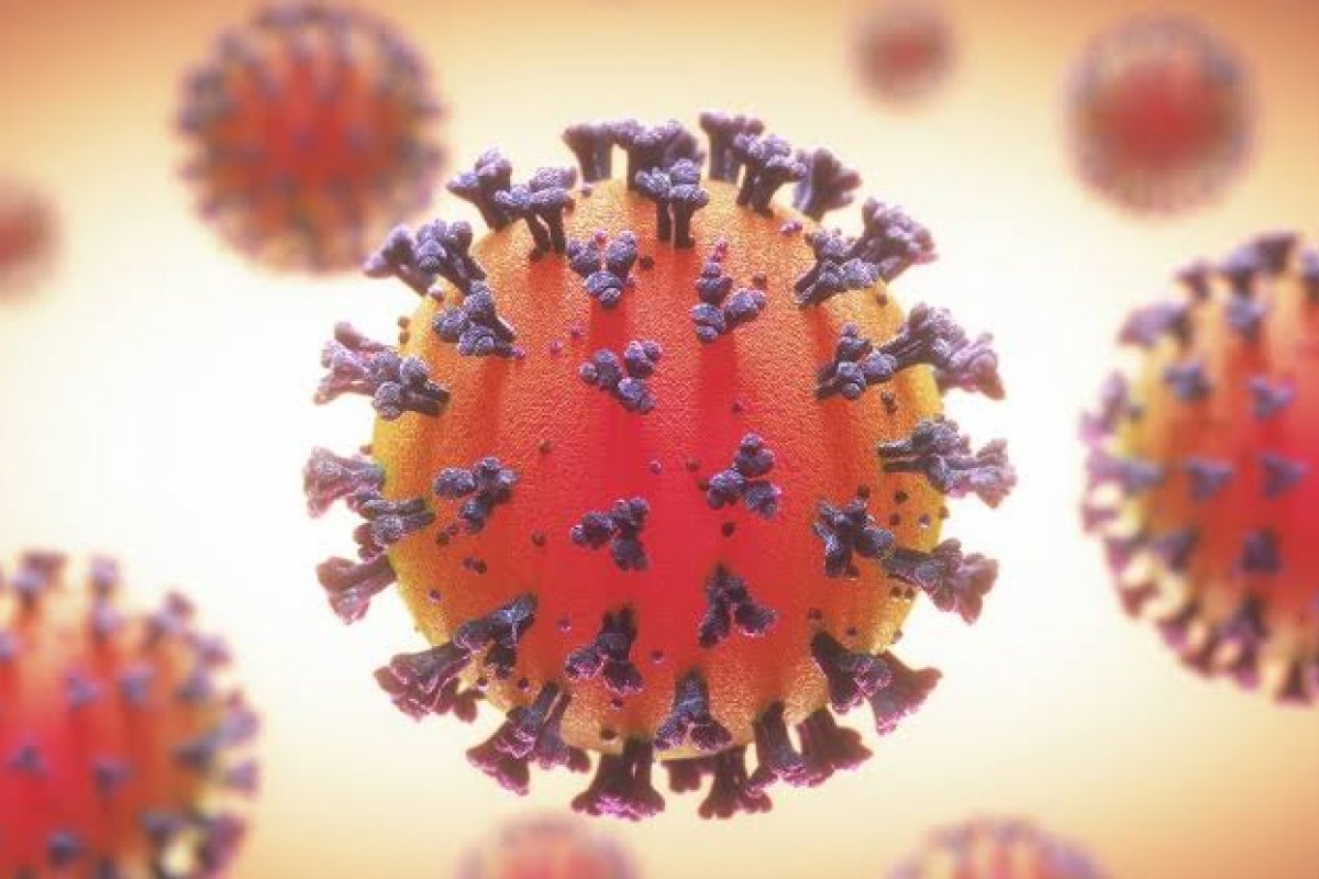 Cientistas de Minnesota descobrem mutação na proteína do Sars-CoV-2 que facilita ataque contra células humanas