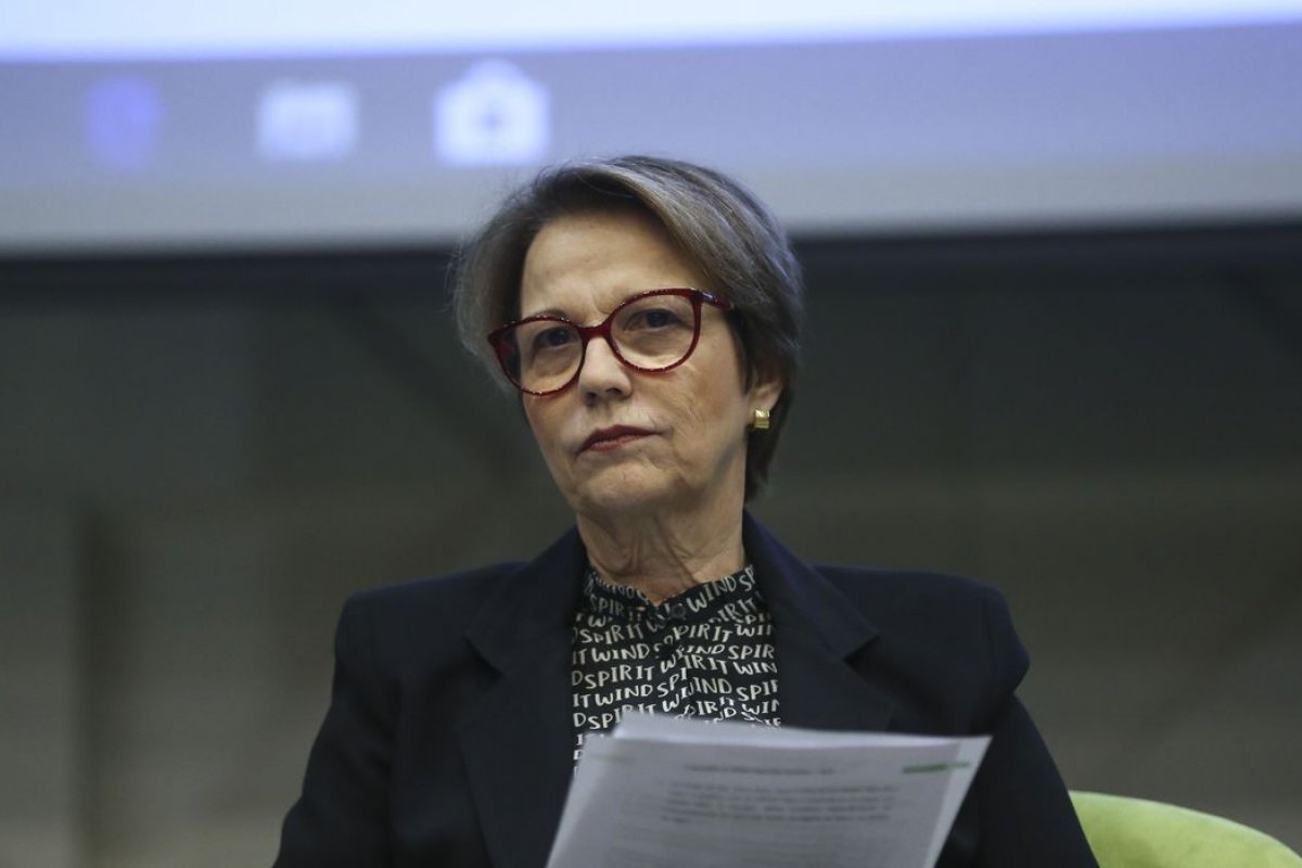 "Abastecimento está razoavelmente tranquilo", diz ministra da Agricultura