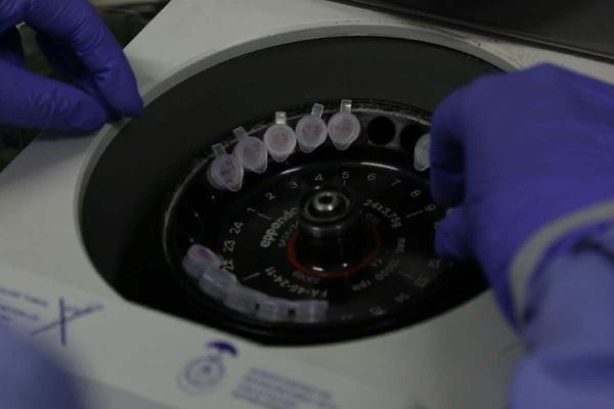 Estados e municípios relatam subnotificação gigantesca de casos, diz jornal