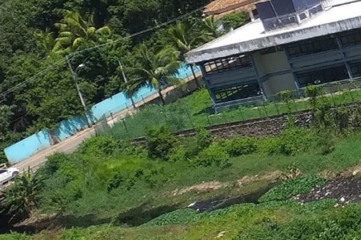 Moradores do bairro de Piatã usam redes sociais para denunciar o foco de dengue