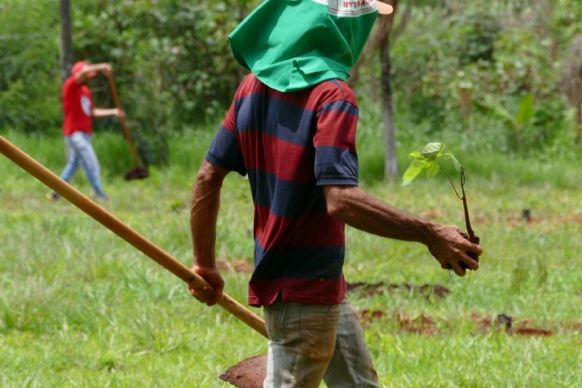 Justiça suspende reintegração de posse de terreno ocupado pelo MST em Feira de Santana