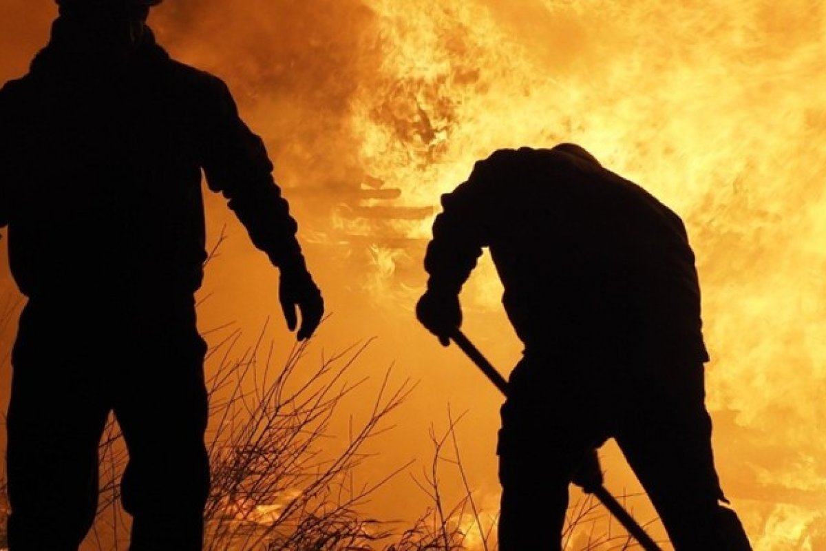 Incêndio florestal provoca aumento no nível de radiação em área próxima à usina de Chernobyl