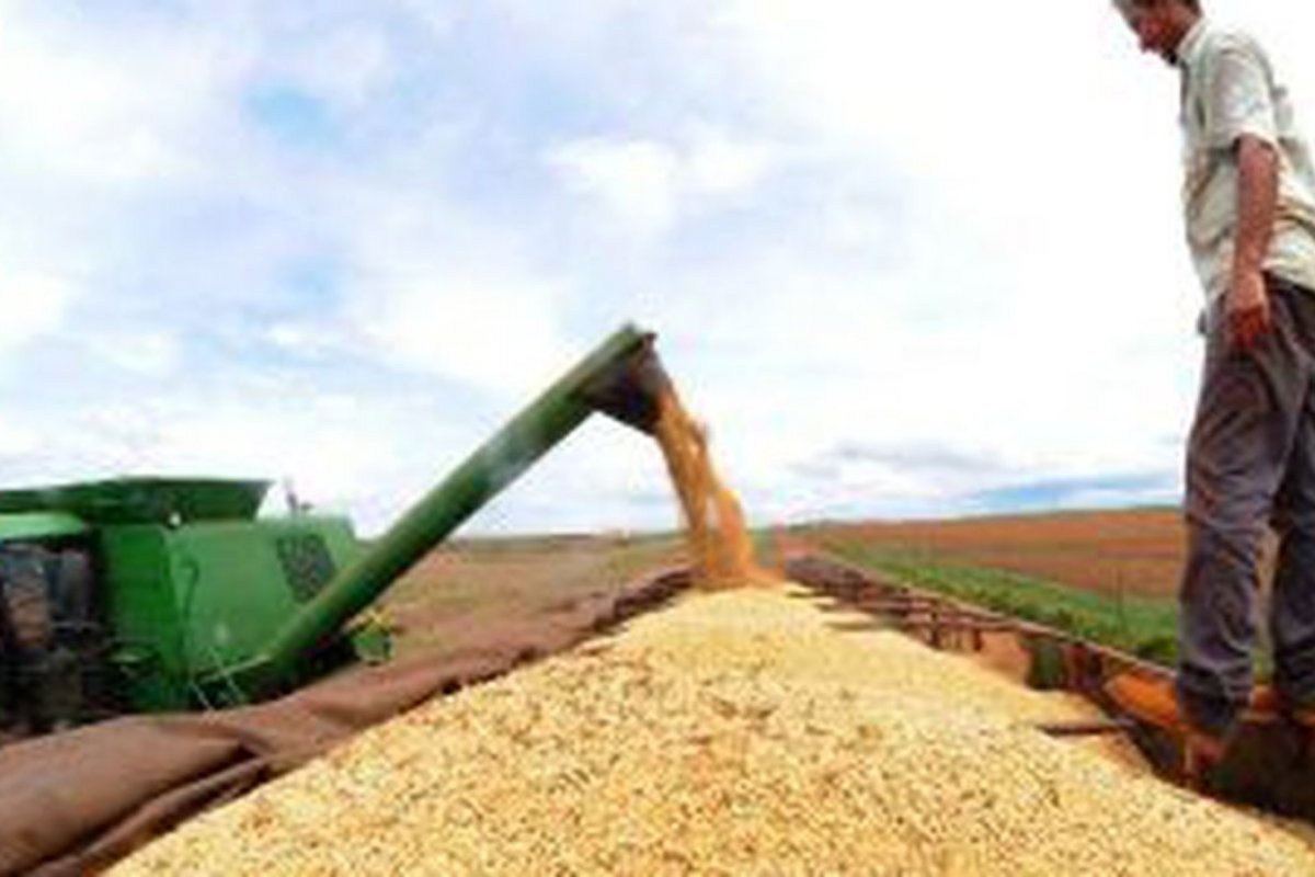 Safra 2019/2020 pode superar 250 milhões de toneladas
