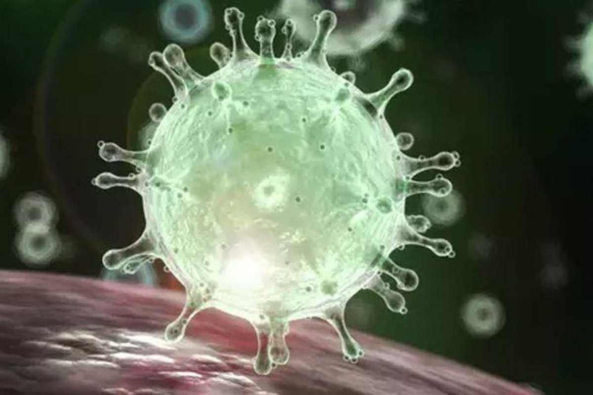 Bahia registra 568 casos do novo coronavírus